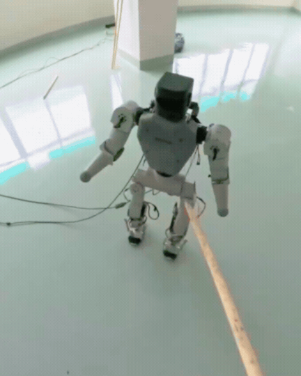Rotaku Domo humanoid robot stress test
